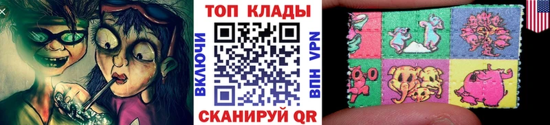 Псилоцибиновые грибы Томилино