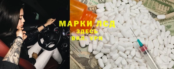 прущие грибы Протвино