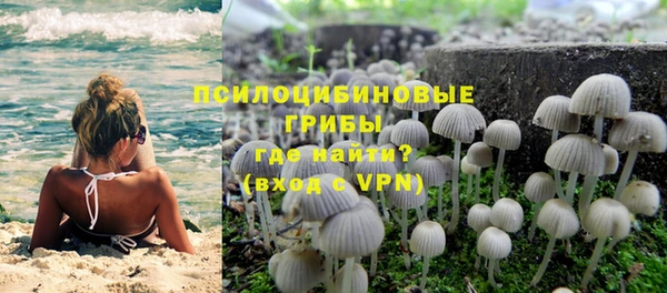 гидра Балабаново
