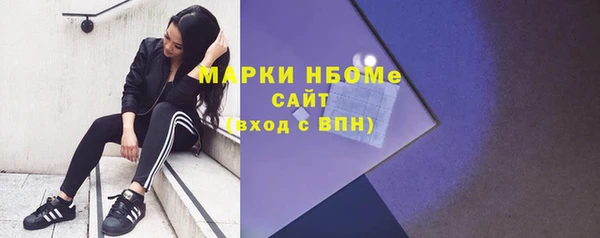 прущие грибы Белокуриха