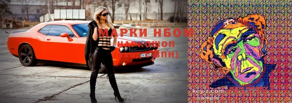 амф Белоозёрский