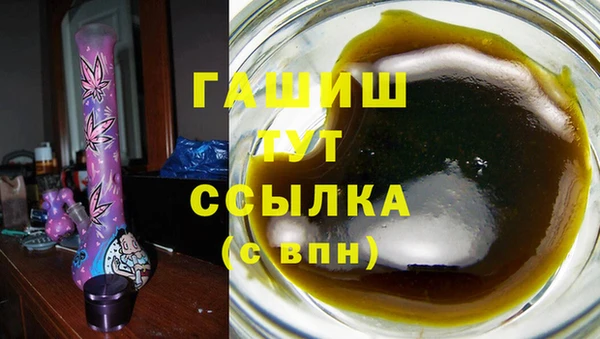 прущие грибы Белокуриха