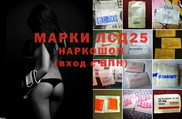 прущие грибы Белокуриха